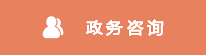 政務(wù)咨詢(xún)